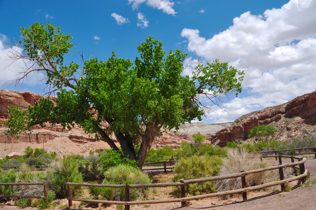 Scenic Drive, Highway 24, Utah jigsaw puzzle in Great Sightings puzzles on TheJigsawPuzzles.com