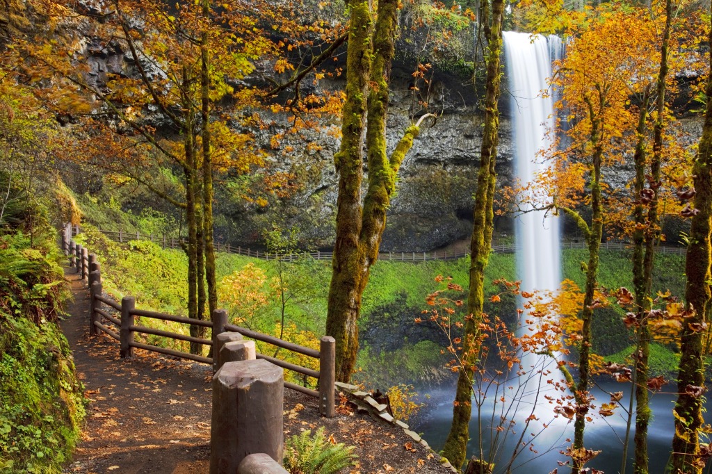 Silver Falls State Park, Oregon jigsaw puzzle in Waterfalls puzzles on TheJigsawPuzzles.com