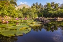 Indonesian Landscape