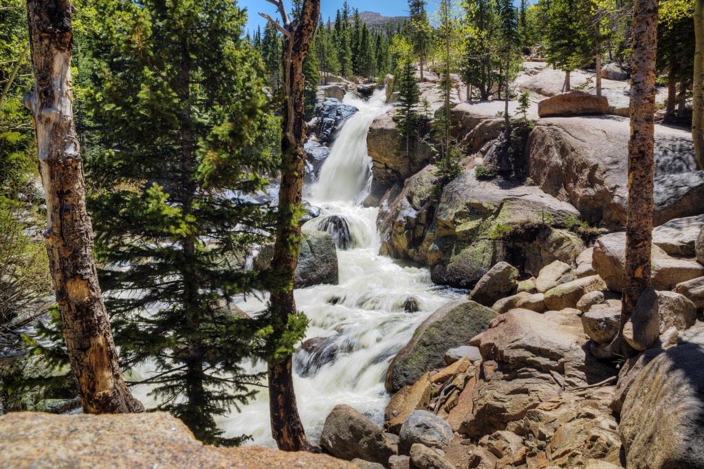 Alberta Falls Trail, Rocky Mountain NP jigsaw puzzle in Waterfalls puzzles on TheJigsawPuzzles.com