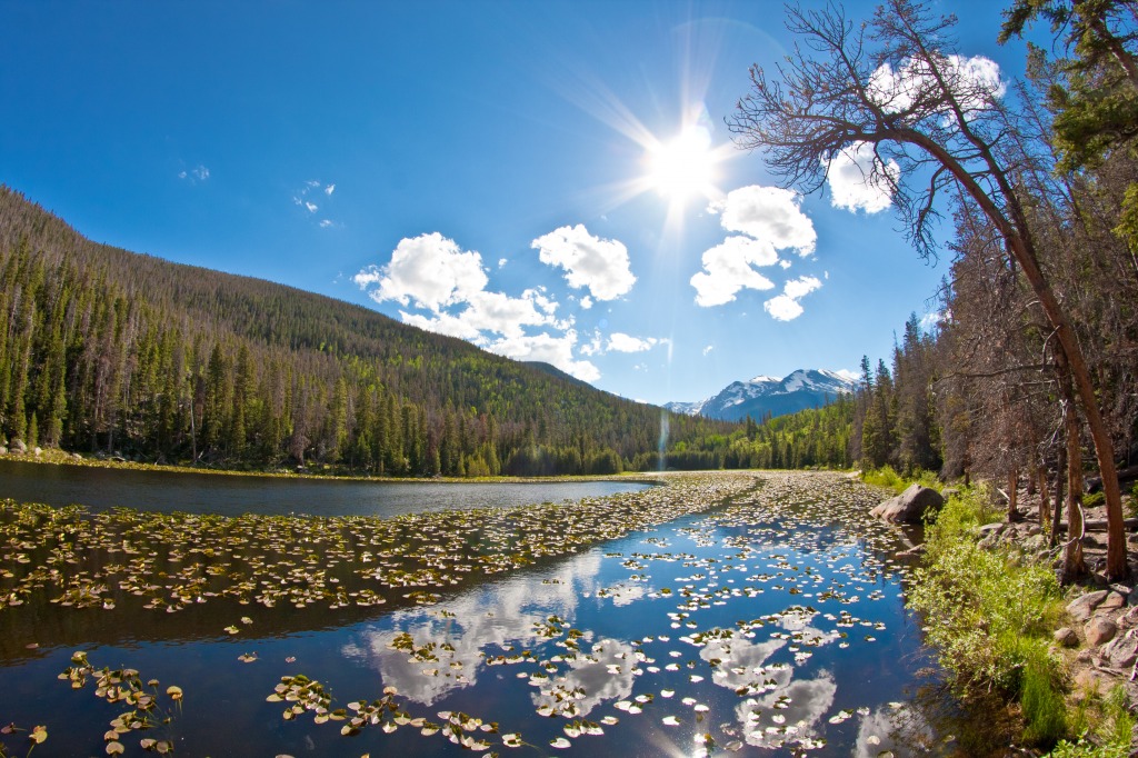 Cub Lake, Rocky Mountain NP jigsaw puzzle in Great Sightings puzzles on TheJigsawPuzzles.com