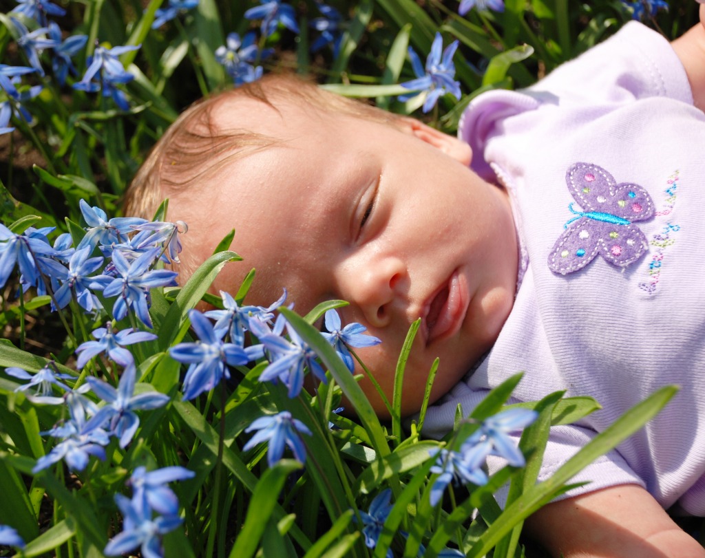 Violet among the Flowers jigsaw puzzle in Flowers puzzles on TheJigsawPuzzles.com