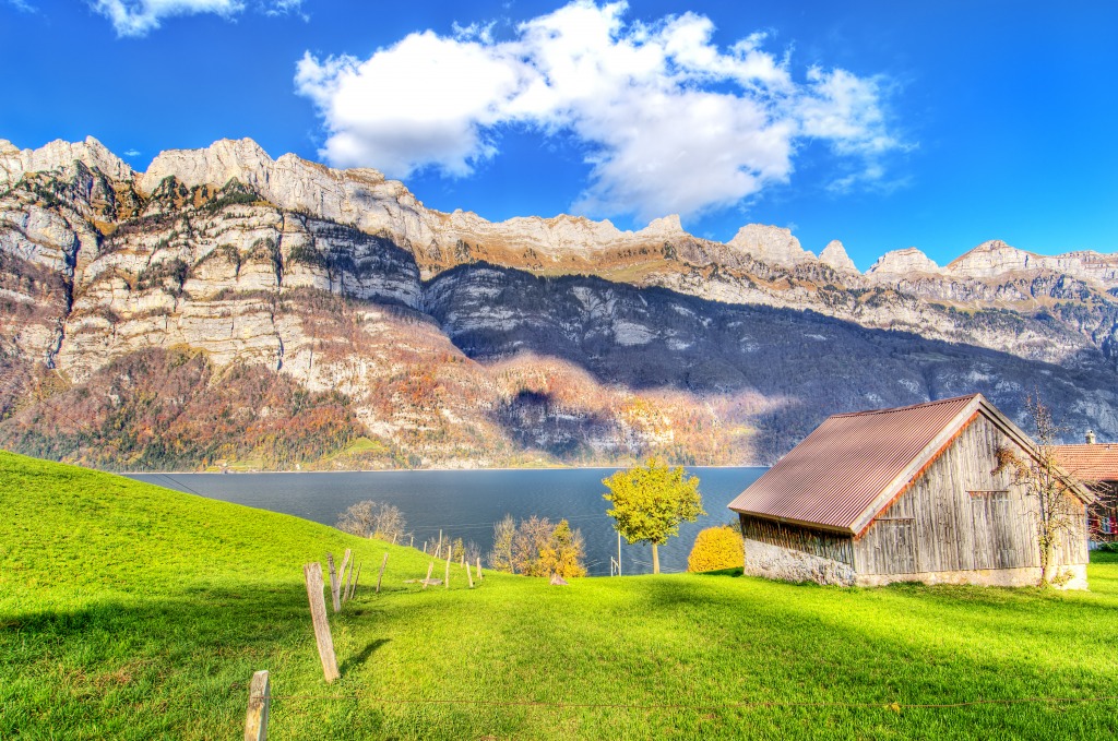 Walensee Lake, Switzerland jigsaw puzzle in Great Sightings puzzles on TheJigsawPuzzles.com
