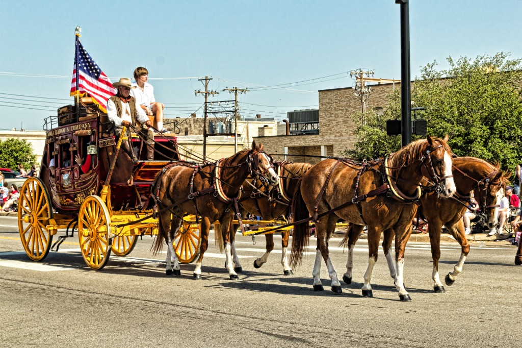 Stage Coach, LibertyFest Parade, Edmond OK jigsaw puzzle in Animals puzzles on TheJigsawPuzzles.com