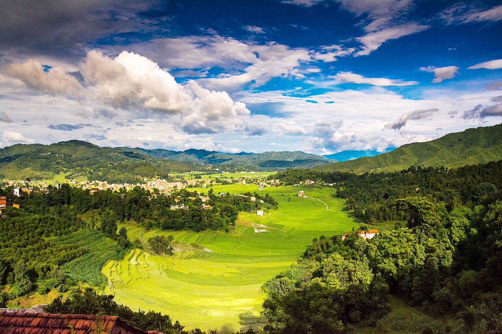 Rice Fields in Panaoti, Nepal jigsaw puzzle in Great Sightings puzzles on TheJigsawPuzzles.com
