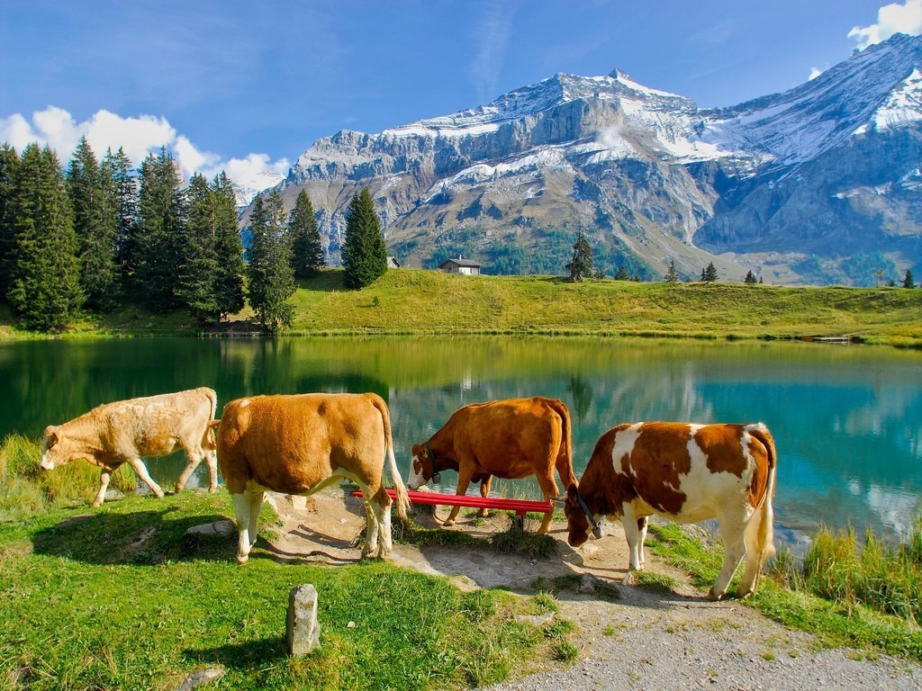 Lake Retaud, Swiss Alps jigsaw puzzle in Puzzle of the Day puzzles on TheJigsawPuzzles.com