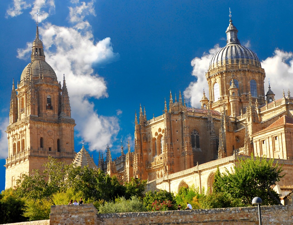 New Cathedral, Salamanca, Spain jigsaw puzzle in Puzzle of the Day puzzles on TheJigsawPuzzles.com