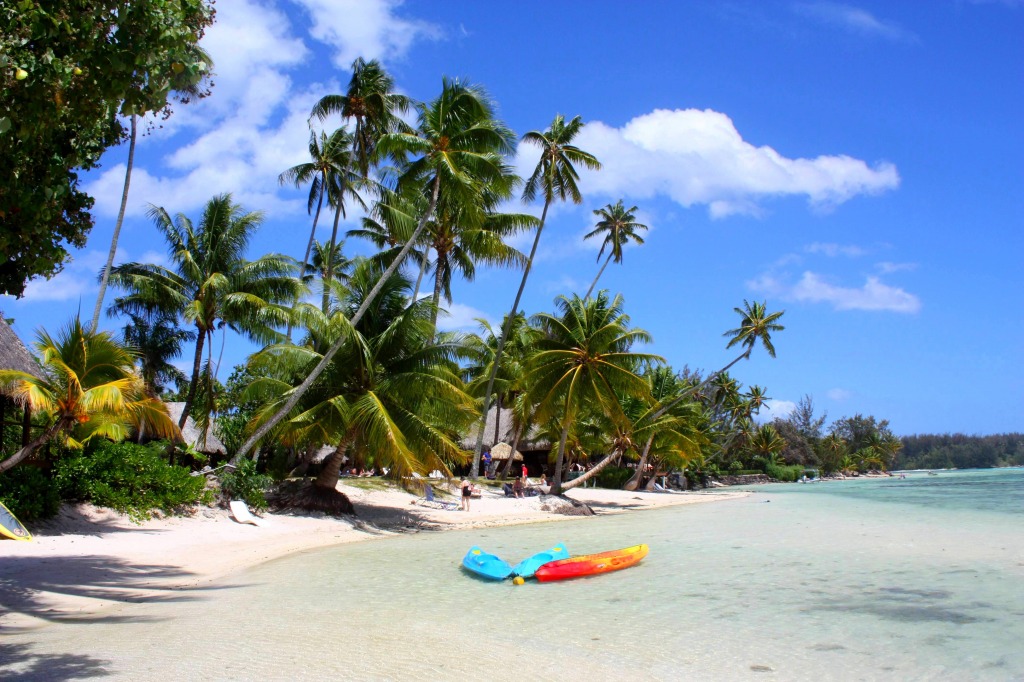 Haapiti Beach, Moréa Island, Polynesia jigsaw puzzle in Great Sightings puzzles on TheJigsawPuzzles.com