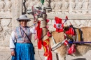 Llama at Arequipa, Peru