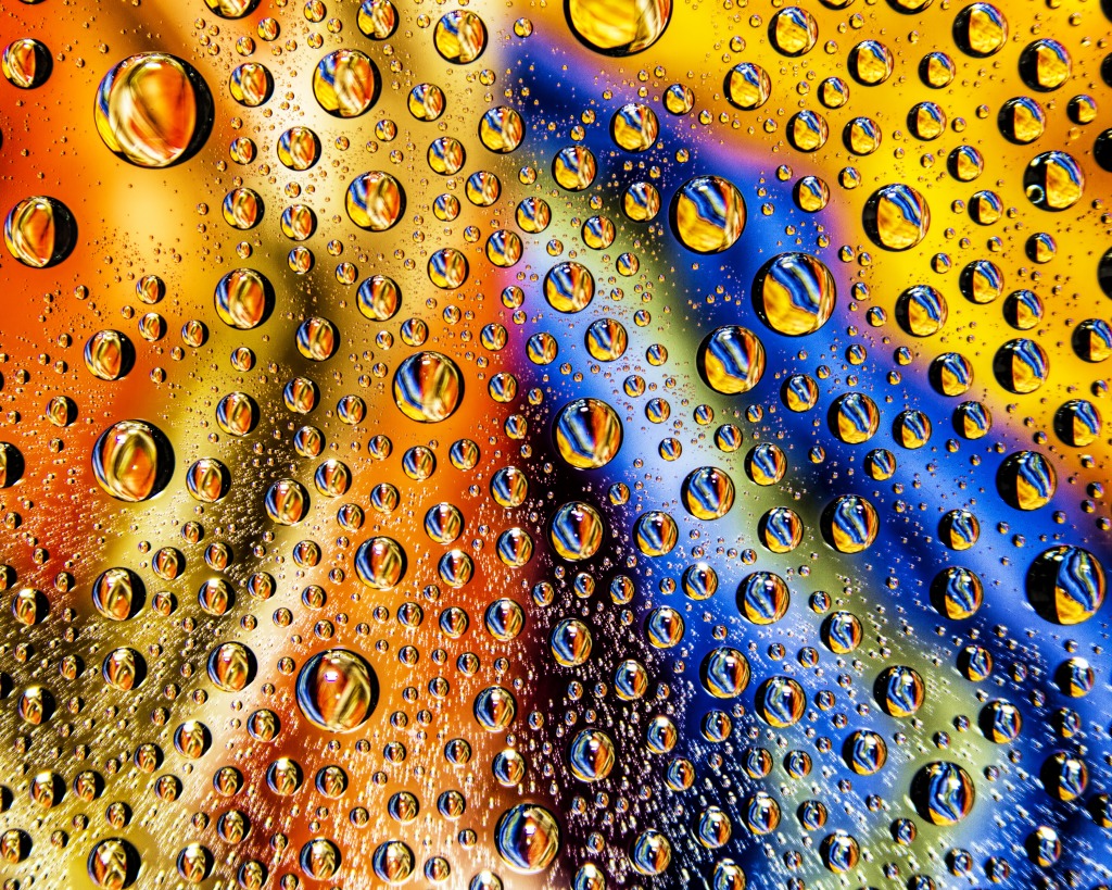 Water Drops jigsaw puzzle in Macro puzzles on TheJigsawPuzzles.com