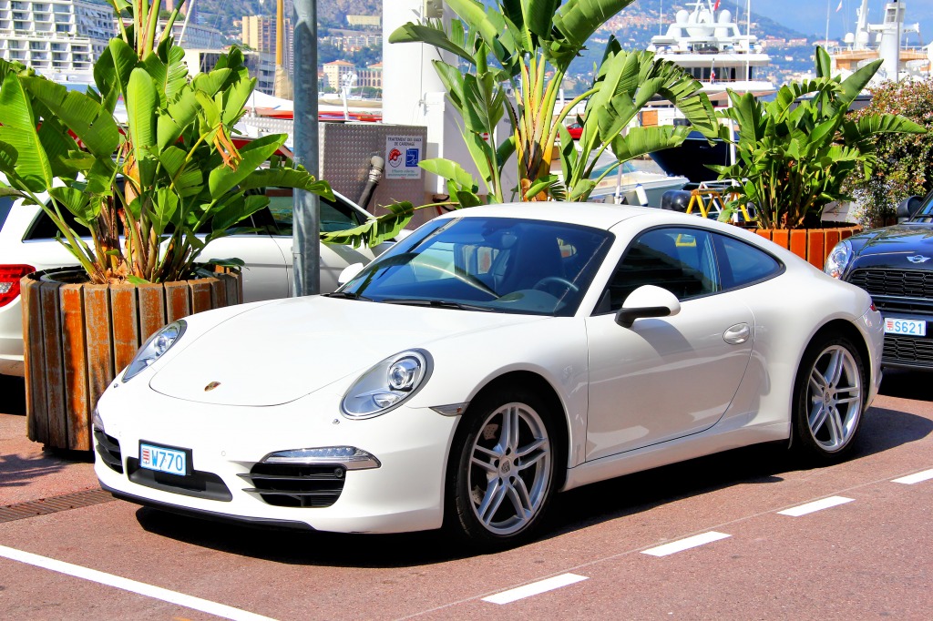 Porsche 991 Carrera in Monte Carlo jigsaw puzzle in Cars & Bikes puzzles on TheJigsawPuzzles.com