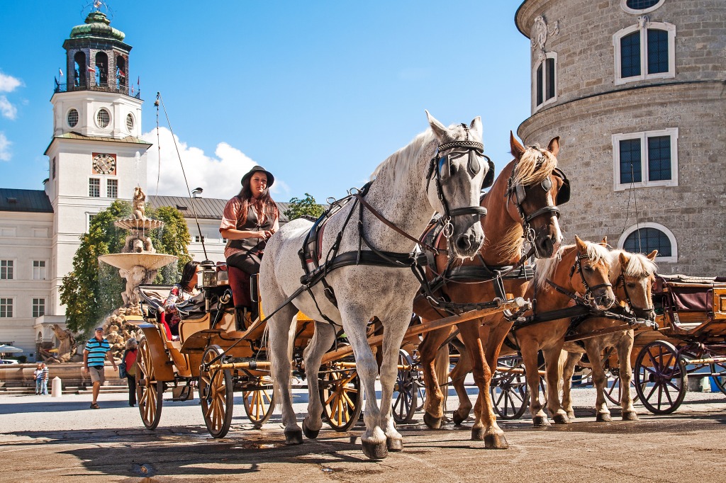 Residence Square in Salzburg, Austria jigsaw puzzle in Animals puzzles on TheJigsawPuzzles.com