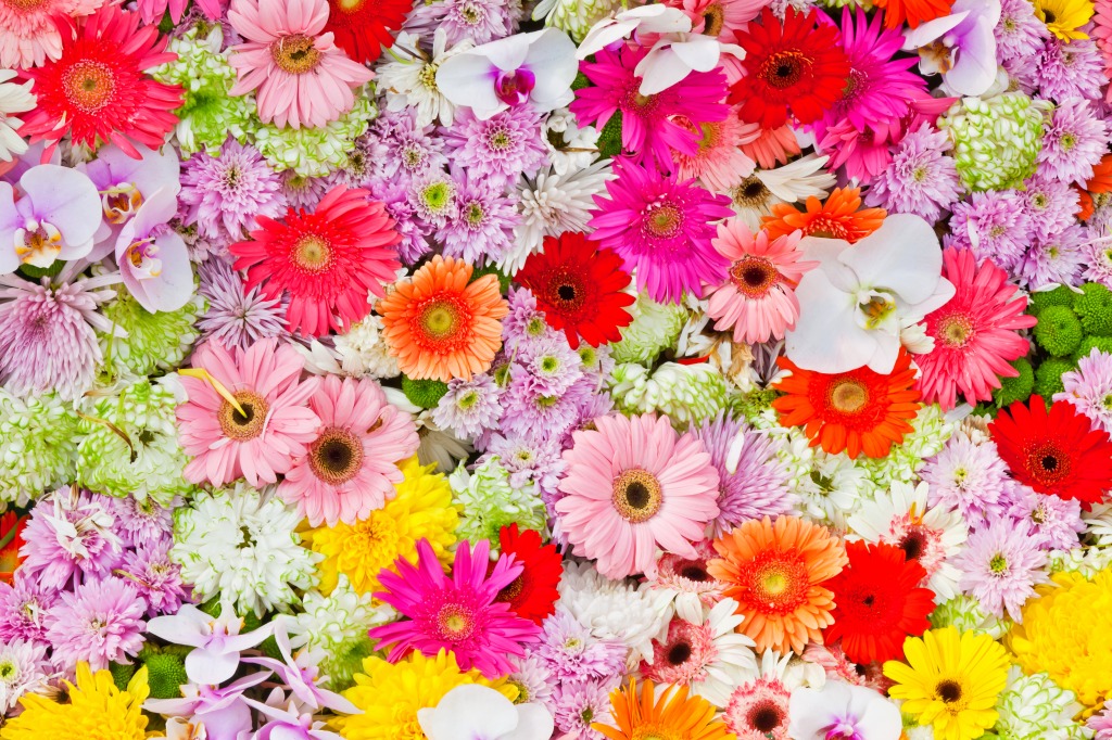 Carpet of Flowers jigsaw puzzle in Flowers puzzles on TheJigsawPuzzles.com
