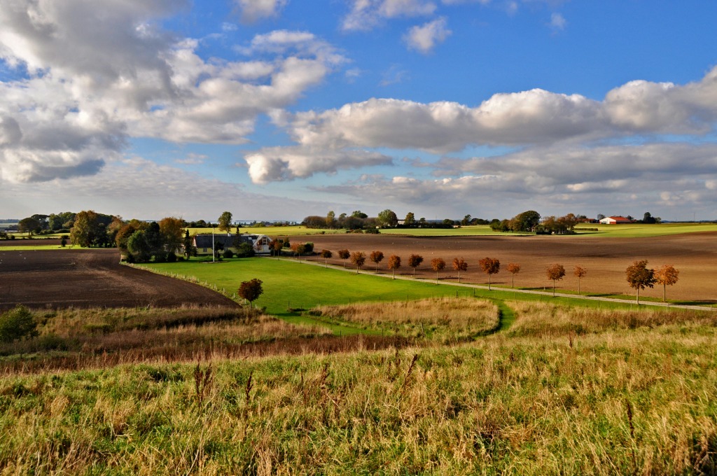 In the Fields jigsaw puzzle in Great Sightings puzzles on TheJigsawPuzzles.com