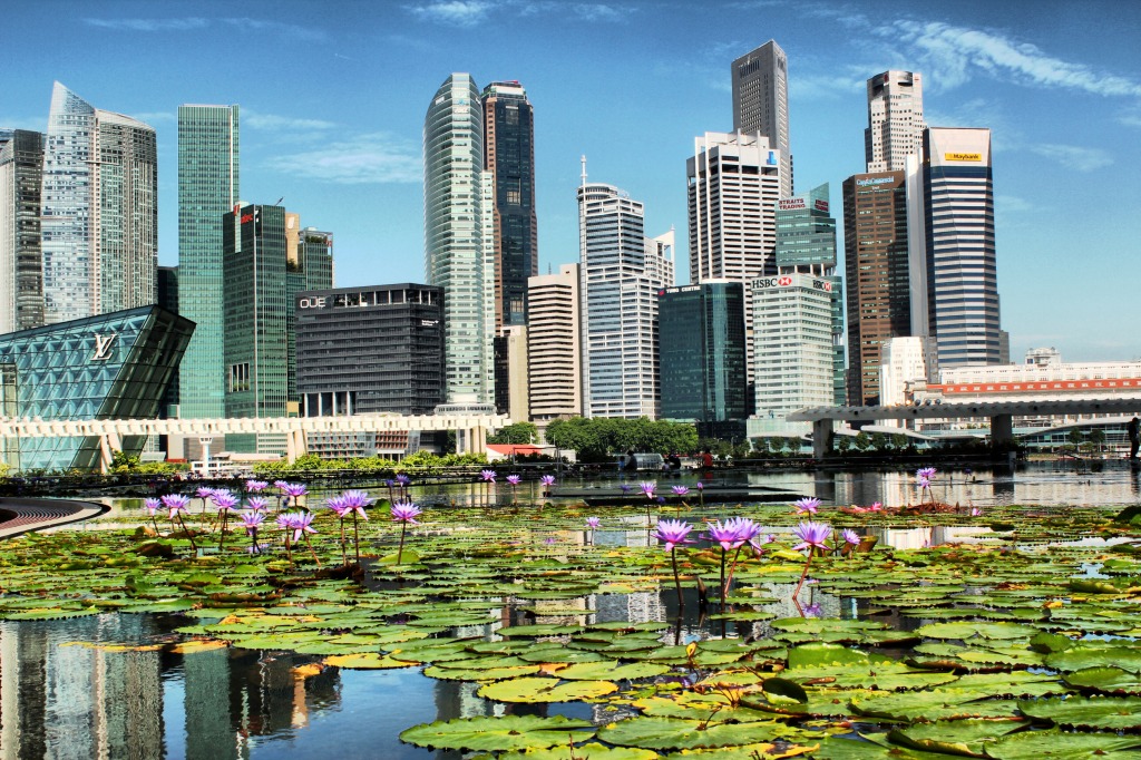 Lotus Flowers and Singapore skyline jigsaw puzzle in Street View puzzles on TheJigsawPuzzles.com