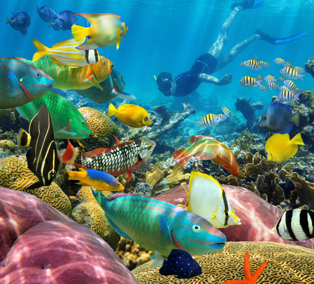 Coral Reef With Tropical Fish jigsaw puzzle in Under the Sea puzzles on TheJigsawPuzzles.com