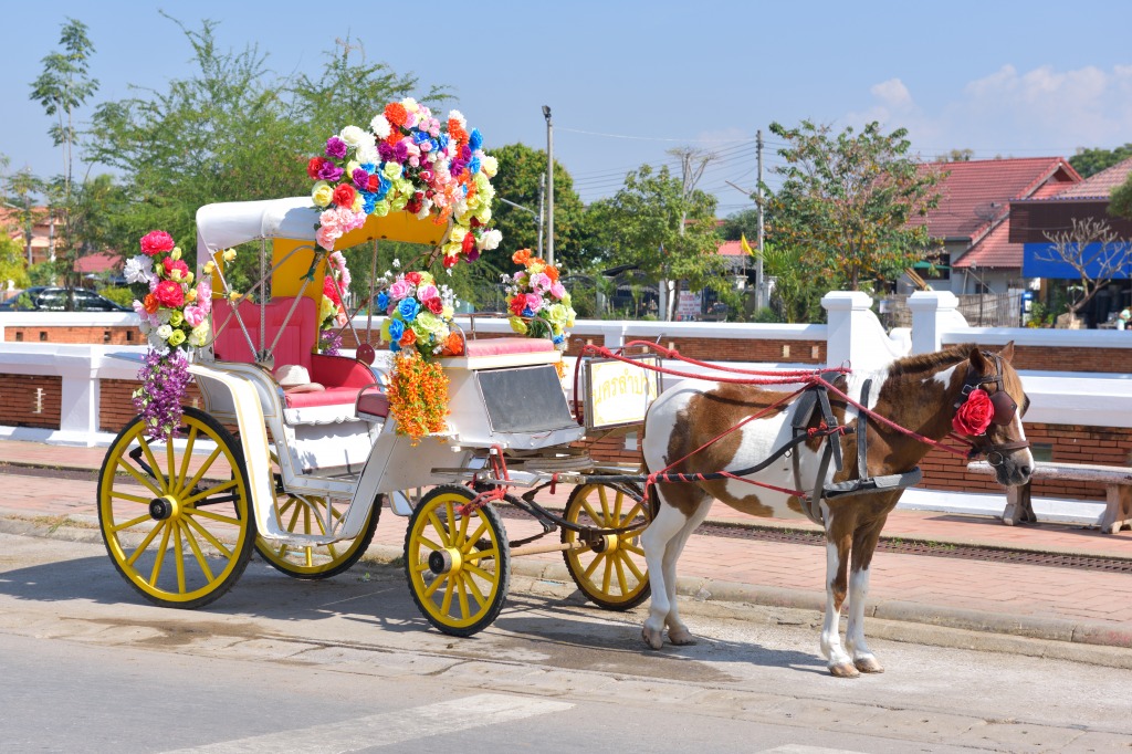 Horse Carriage in Lampang, Thailand jigsaw puzzle in Animals puzzles on TheJigsawPuzzles.com