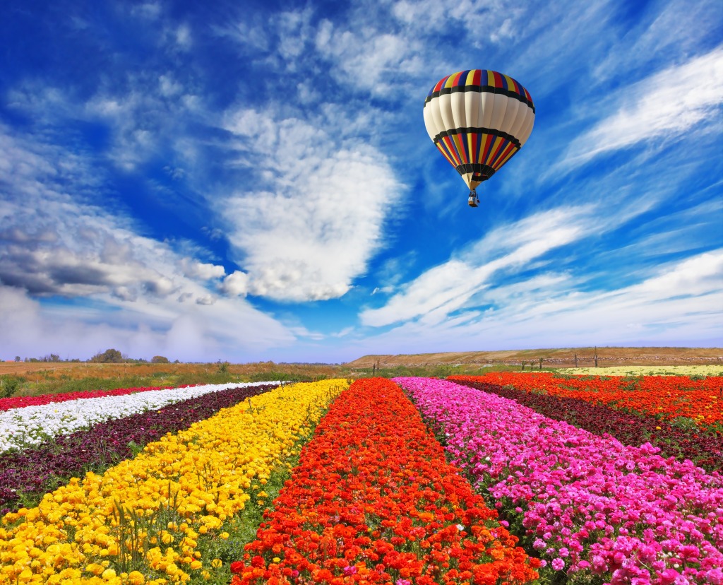 Flower Fields jigsaw puzzle in Flowers puzzles on TheJigsawPuzzles.com