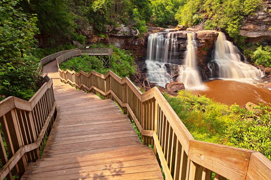 Blackwater Falls, West Virginia jigsaw puzzle in Waterfalls puzzles on TheJigsawPuzzles.com