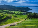 Rice Terraces