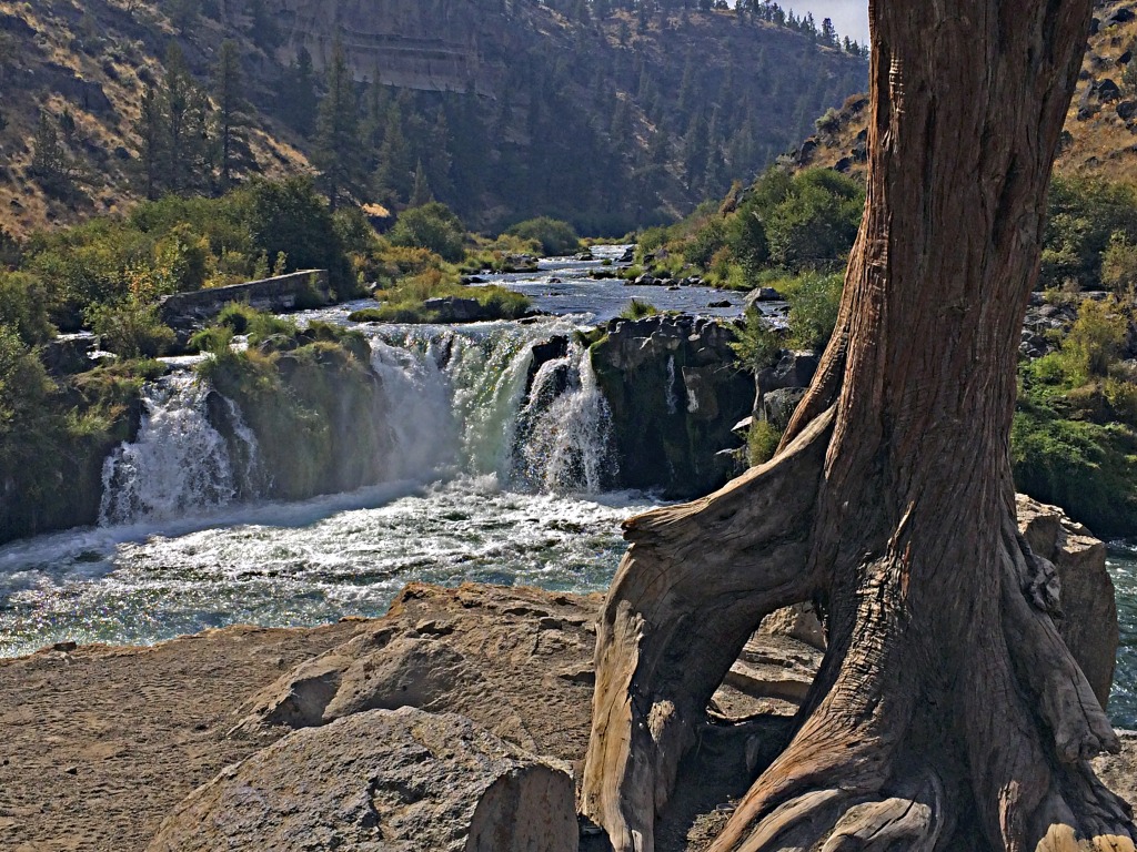 Steelhead Falls, Oregon jigsaw puzzle in Waterfalls puzzles on TheJigsawPuzzles.com