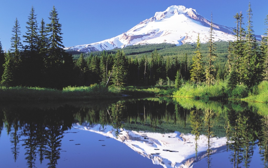 Mt Hood, Oregon jigsaw puzzle in Puzzle of the Day puzzles on TheJigsawPuzzles.com