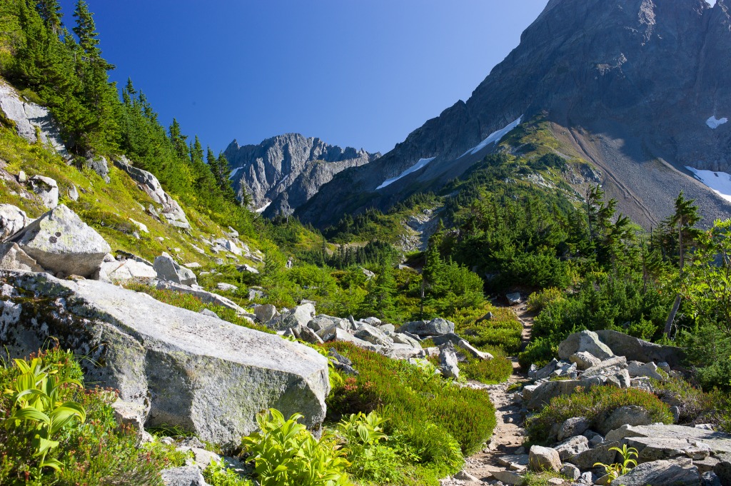 North Cascades National Park jigsaw puzzle in Puzzle of the Day puzzles on TheJigsawPuzzles.com