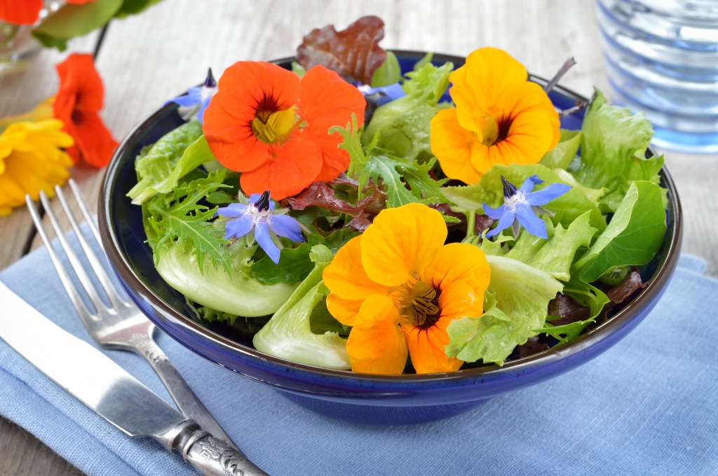 Fresh Summer Salad with Nasturtium jigsaw puzzle in Flowers puzzles on TheJigsawPuzzles.com