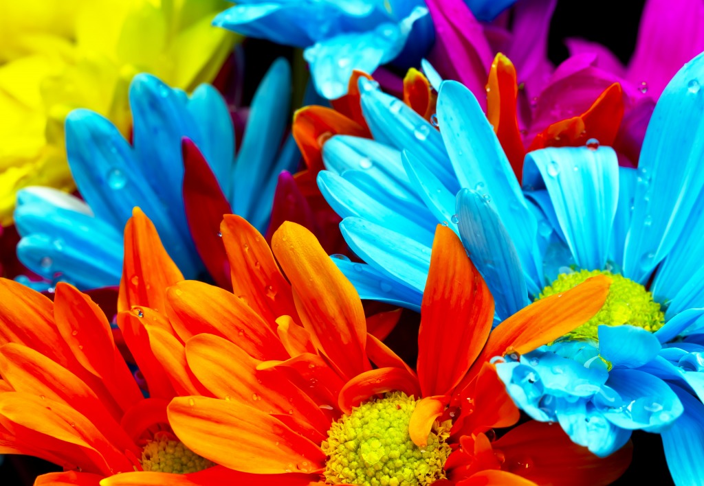 Colorful Flowers jigsaw puzzle in Flowers puzzles on TheJigsawPuzzles.com