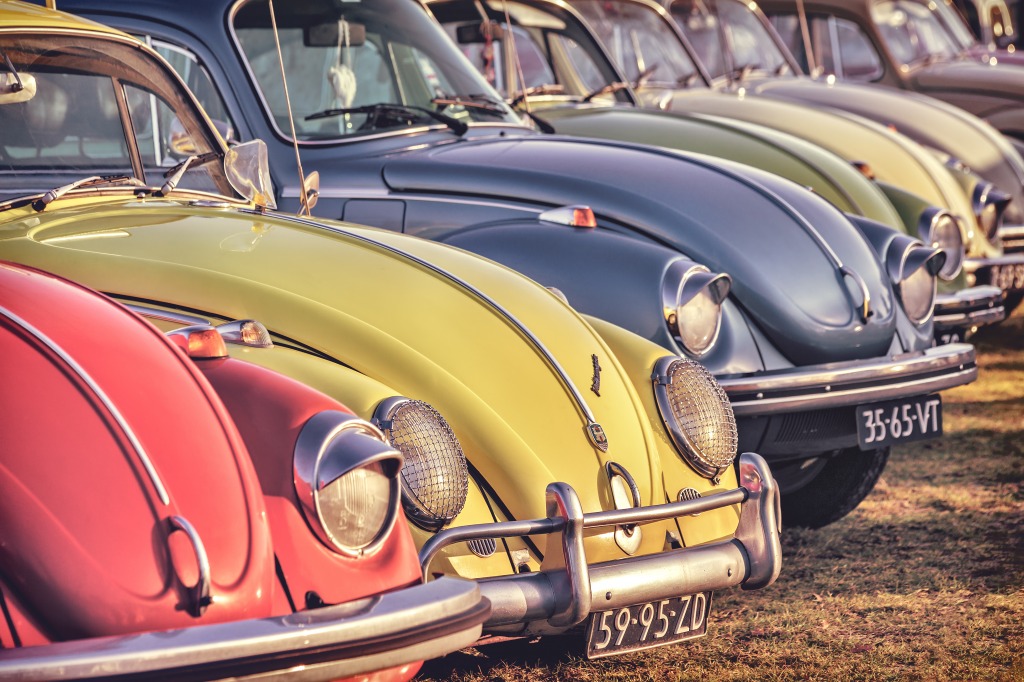 Vintage Volkswagen Beetles jigsaw puzzle in Cars & Bikes puzzles on TheJigsawPuzzles.com