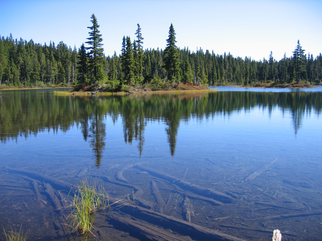 Washington Ski Area, Vancouver Island jigsaw puzzle in Great Sightings puzzles on TheJigsawPuzzles.com