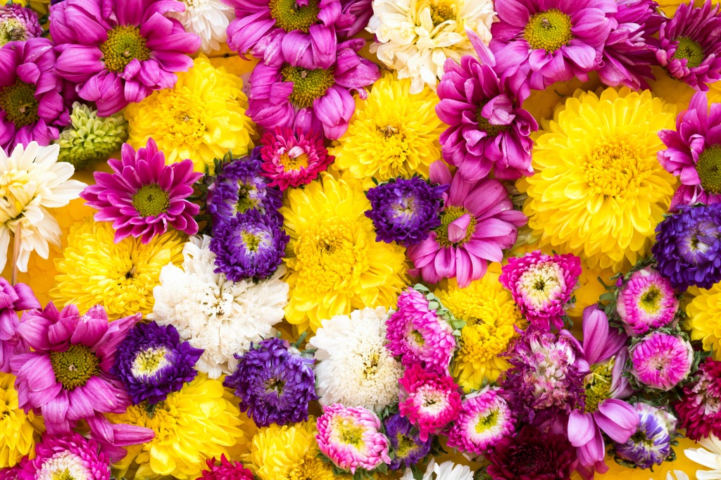 Carpet of Flowers jigsaw puzzle in Flowers puzzles on TheJigsawPuzzles.com