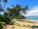 Walking Down the Beach