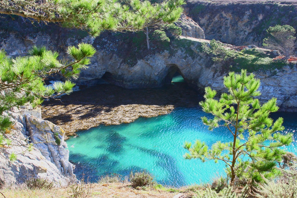 Point Lobos State Reserve, California jigsaw puzzle in Great Sightings puzzles on TheJigsawPuzzles.com