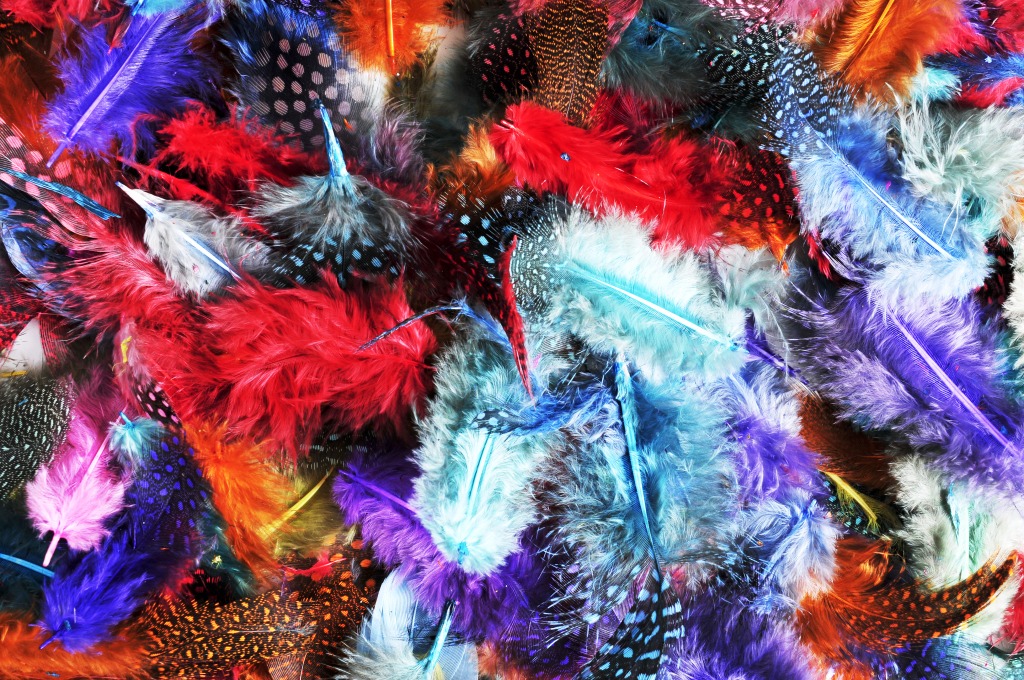 Feathers of Many Colors jigsaw puzzle in Macro puzzles on TheJigsawPuzzles.com