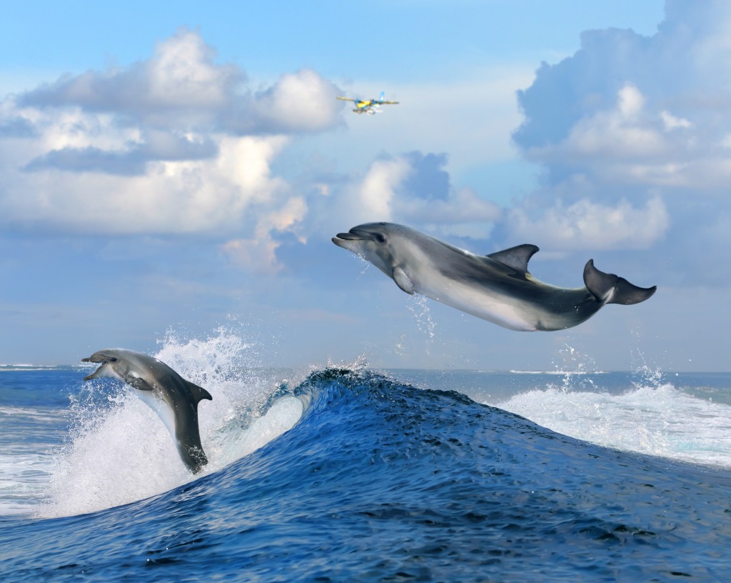 Happy Dolphins jigsaw puzzle in Animals puzzles on TheJigsawPuzzles.com