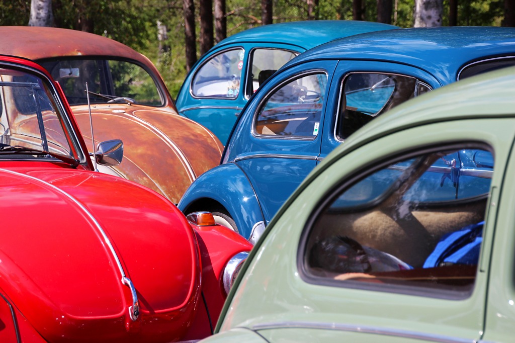 VW Beetles jigsaw puzzle in Cars & Bikes puzzles on TheJigsawPuzzles.com