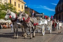 Horse Carriages in Krakow