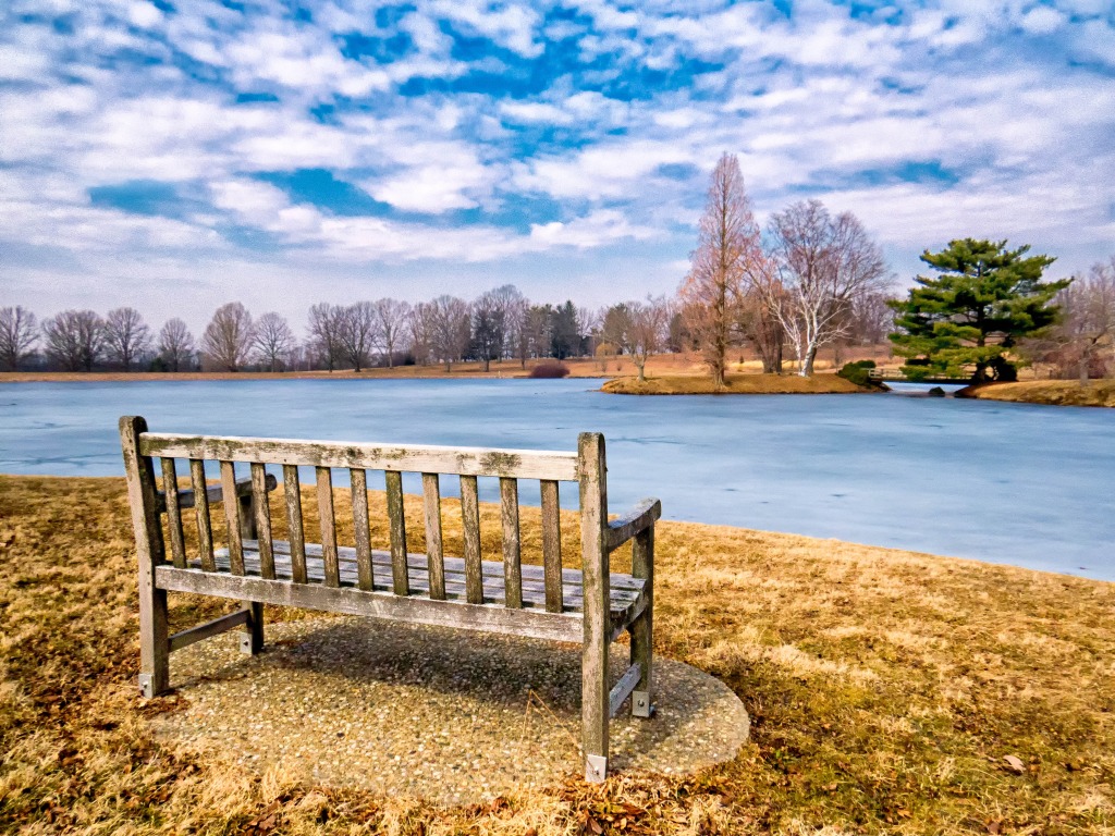 Bench Overlooking Pond At Dawes Arboretum jigsaw puzzle in Great Sightings puzzles on TheJigsawPuzzles.com