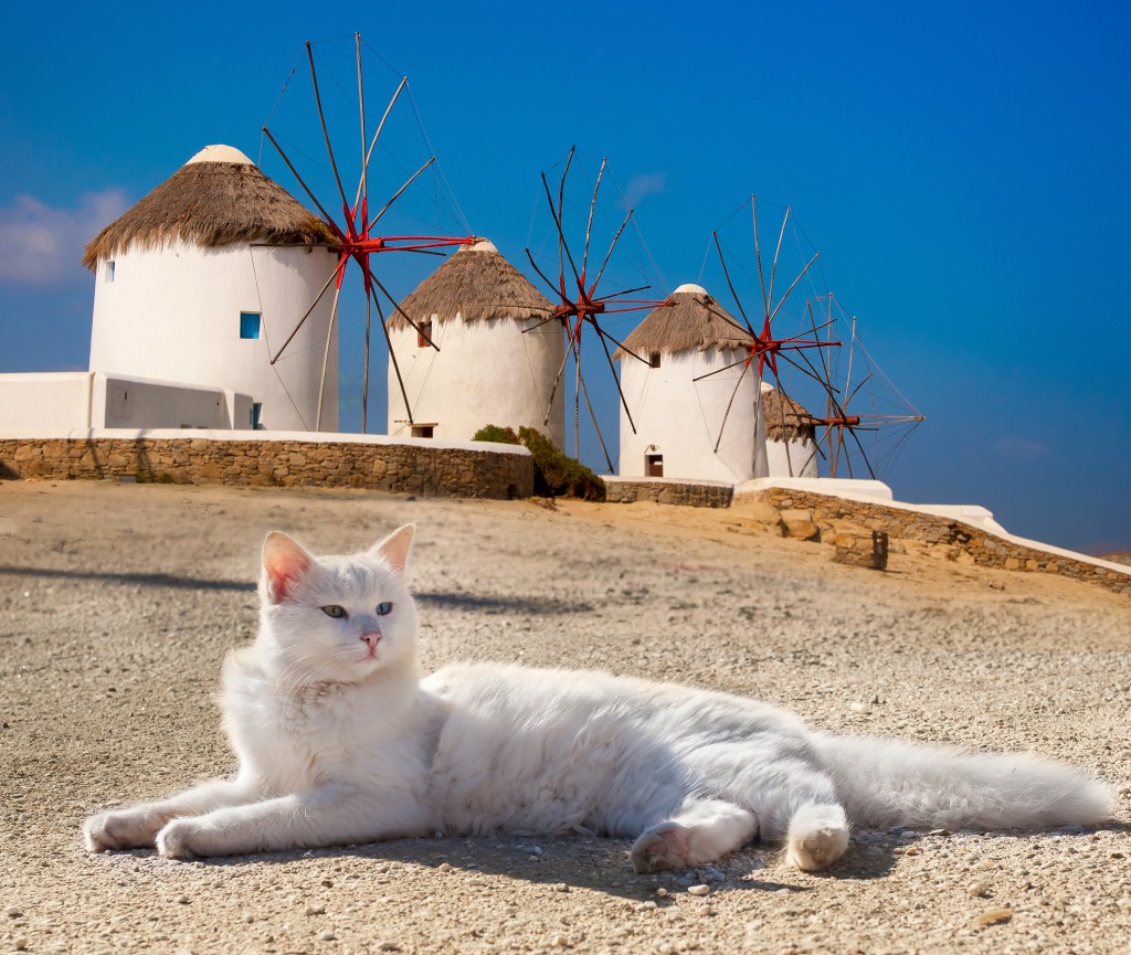 Mykonos, Greece jigsaw puzzle in Animals puzzles on TheJigsawPuzzles.com