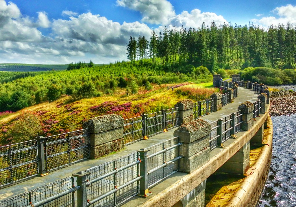 Alwen Reservoir, Denbigh Moors, North Wales jigsaw puzzle in Bridges puzzles on TheJigsawPuzzles.com