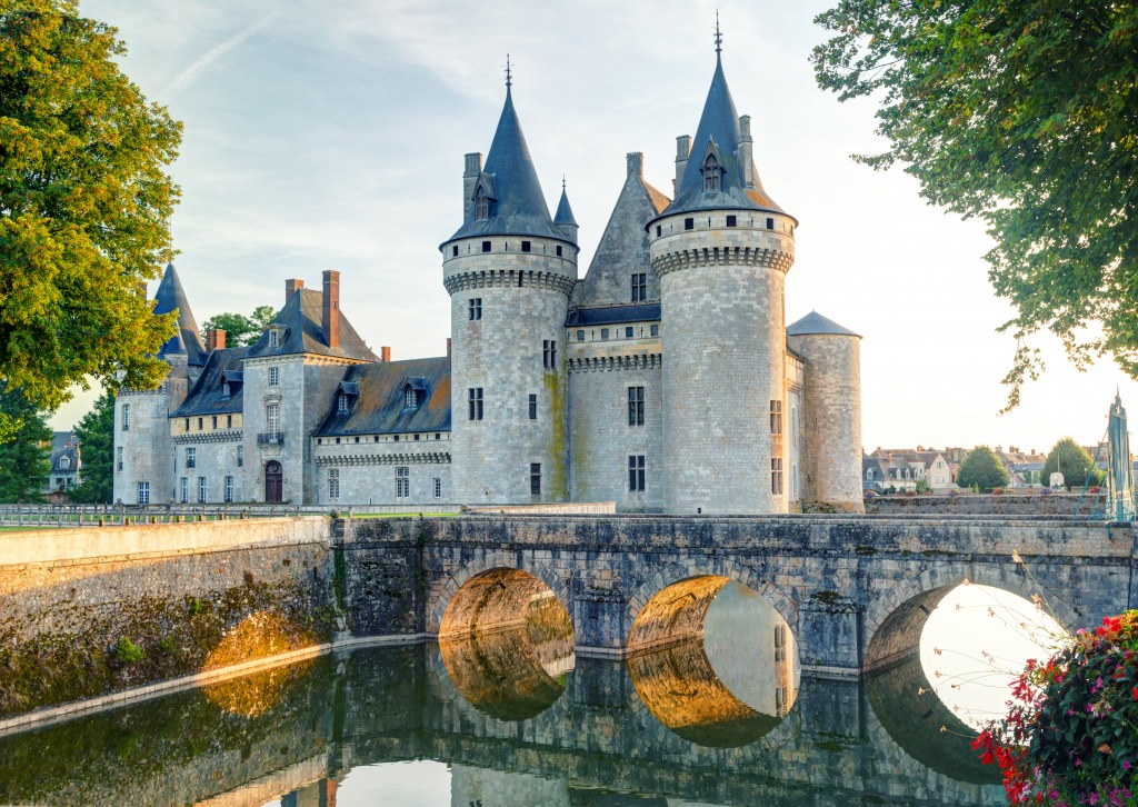 Chateau de Sully-Sur-Loire, France jigsaw puzzle in Puzzle of the Day puzzles on TheJigsawPuzzles.com