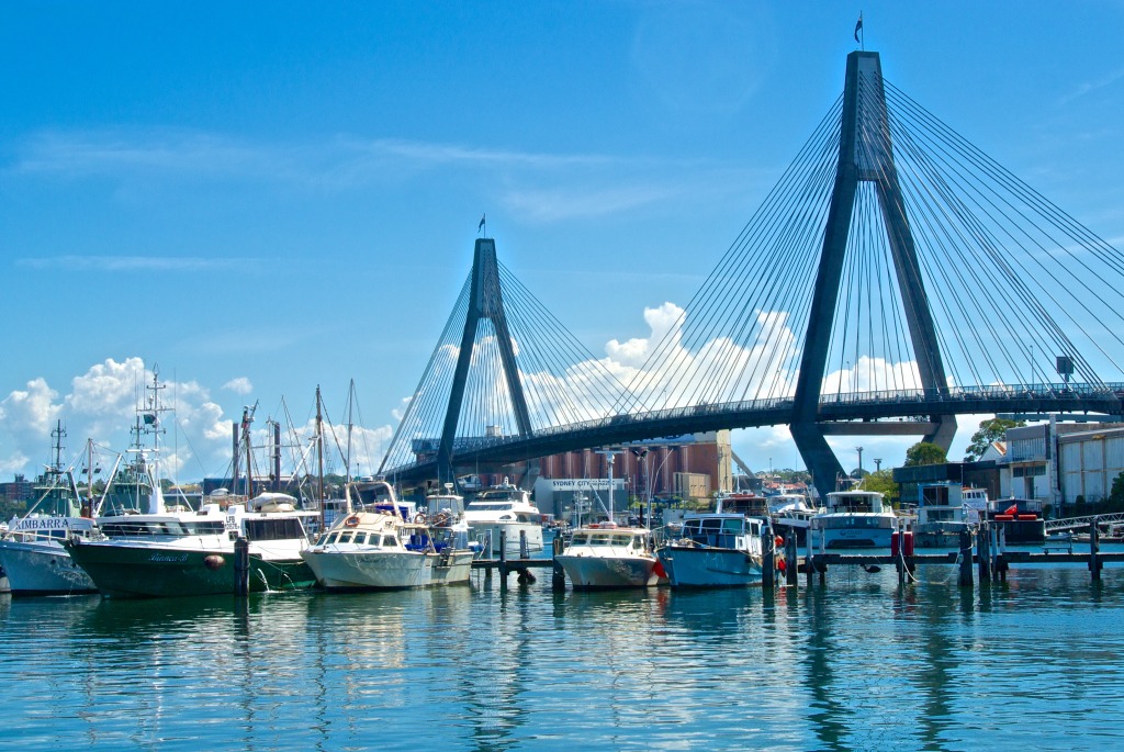 Anzac Bridge, Australia jigsaw puzzle in Bridges puzzles on TheJigsawPuzzles.com