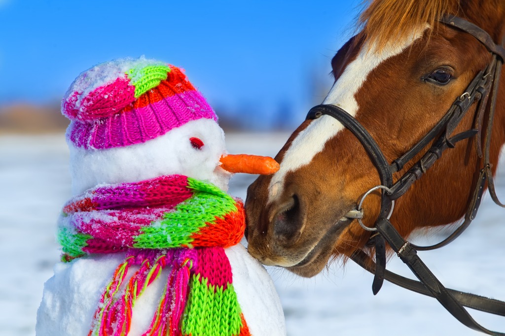 Horse and Snowman jigsaw puzzle in Animals puzzles on TheJigsawPuzzles.com