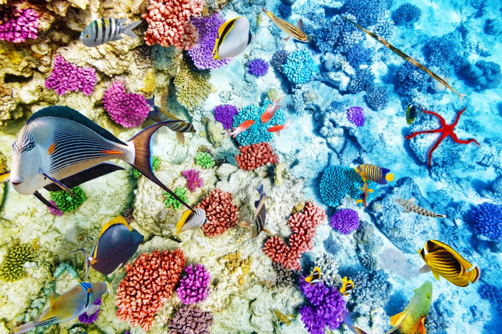 Wonderful Underwater World jigsaw puzzle in Under the Sea puzzles on TheJigsawPuzzles.com