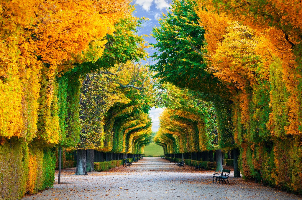 Autumn Park jigsaw puzzle in Great Sightings puzzles on TheJigsawPuzzles.com