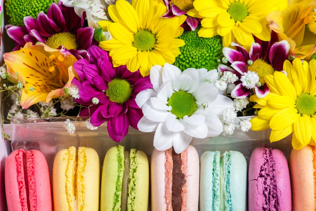 Flowers and Macaroon jigsaw puzzle in Macro puzzles on TheJigsawPuzzles.com