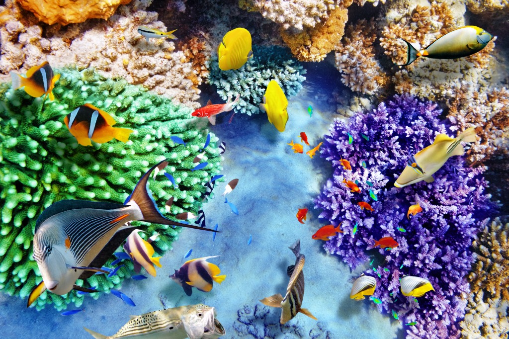 Beautiful Underwater World jigsaw puzzle in Under the Sea puzzles on TheJigsawPuzzles.com