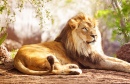 African Lion