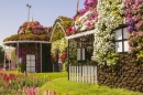 Flower Village in the Dubai Miracle Garden